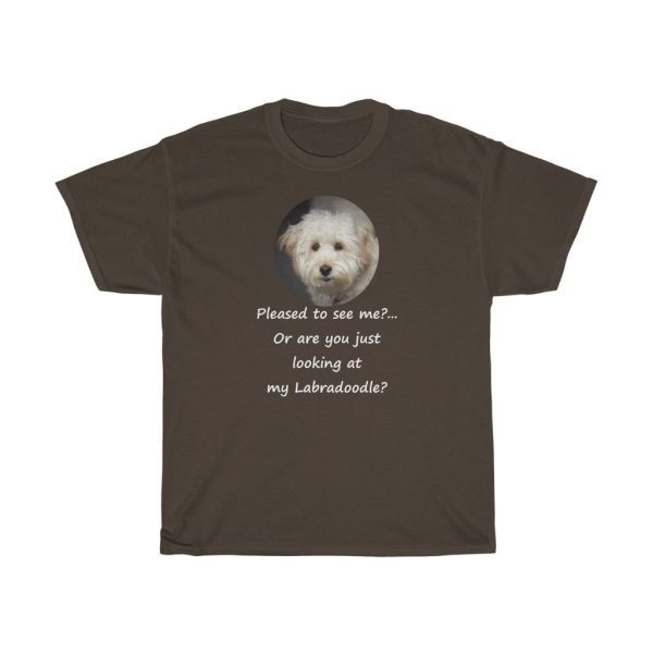 ...Or Are You Looking At My Labradoodle?... Tee Shirt White Text on Dark Colors Version - Image 2