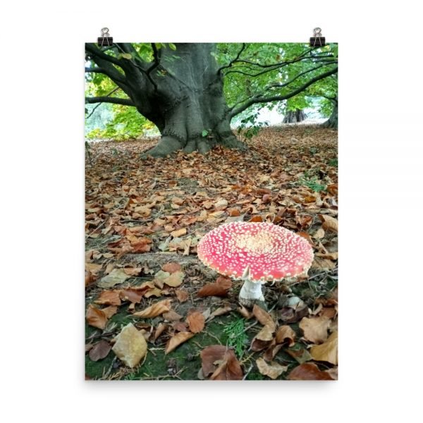 Fairy's Dwelling Poster - Image 2