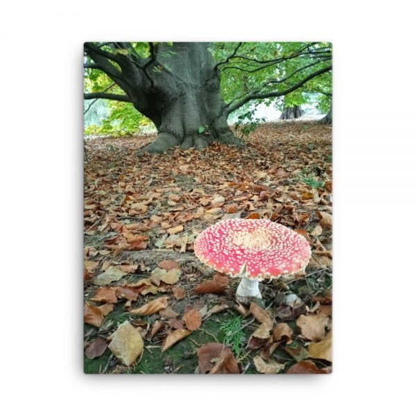 Fairy's Dwelling Canvas - Image 2